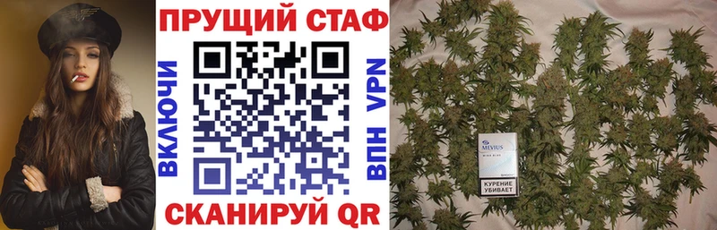 Где можно купить наркотики Гатчина мега как войти Псилоцибиновые грибы Мефедрон Каннабис ГАШИШ КОКАИН Амфетамин