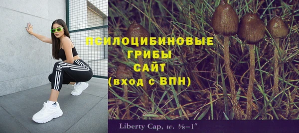 jwh Верея